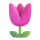 🌷