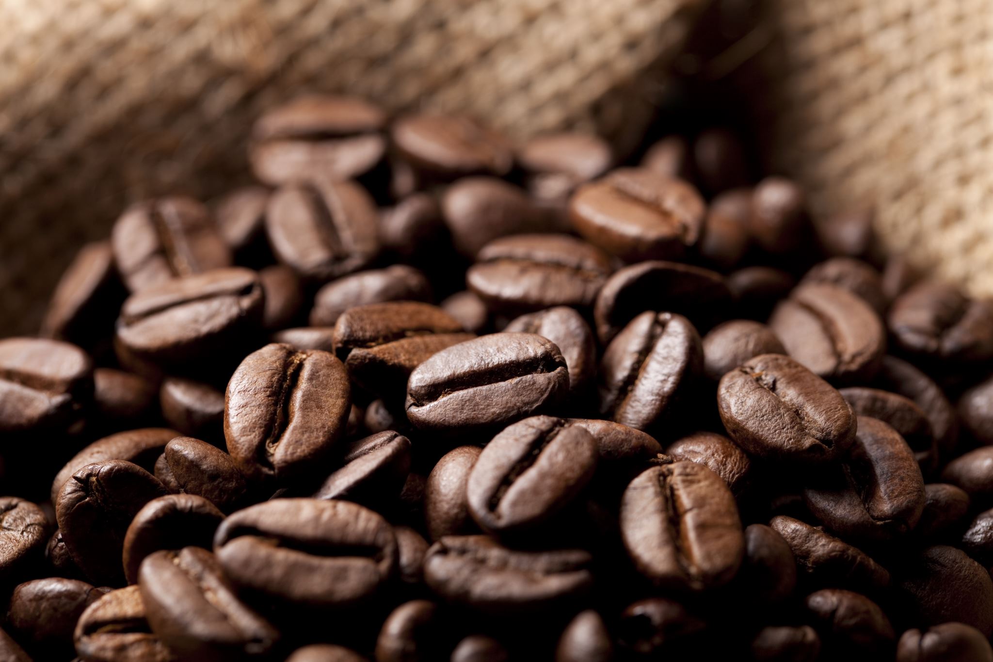 Freshly roasted coffee beans