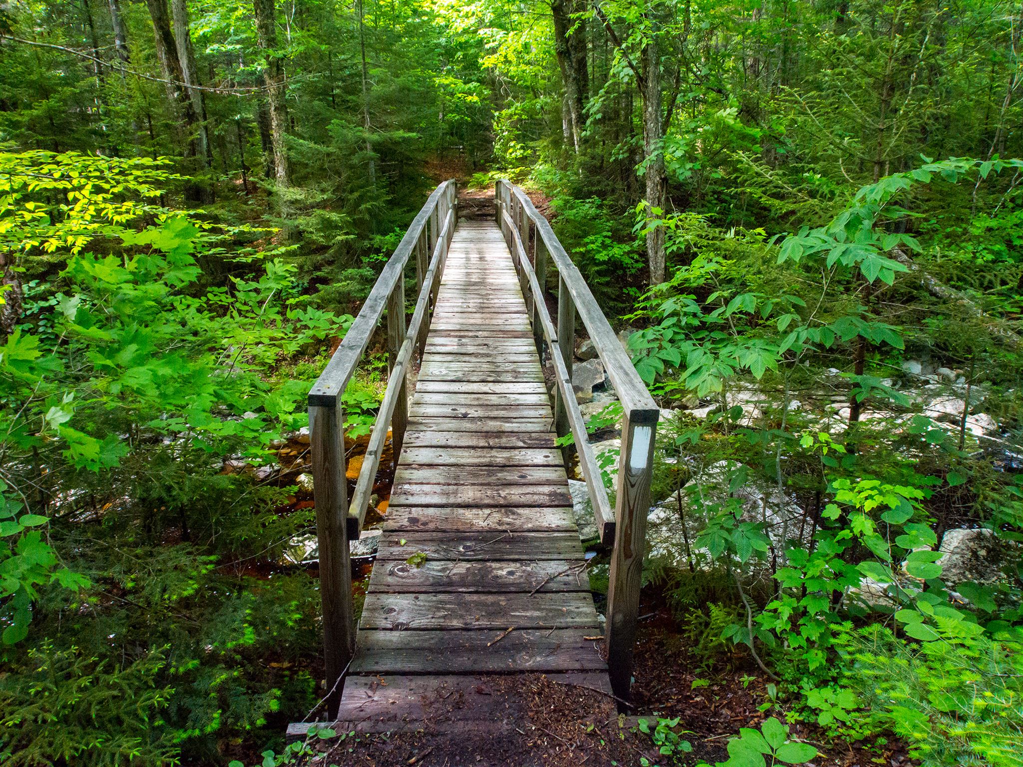 Calm nature trail in Kentucky