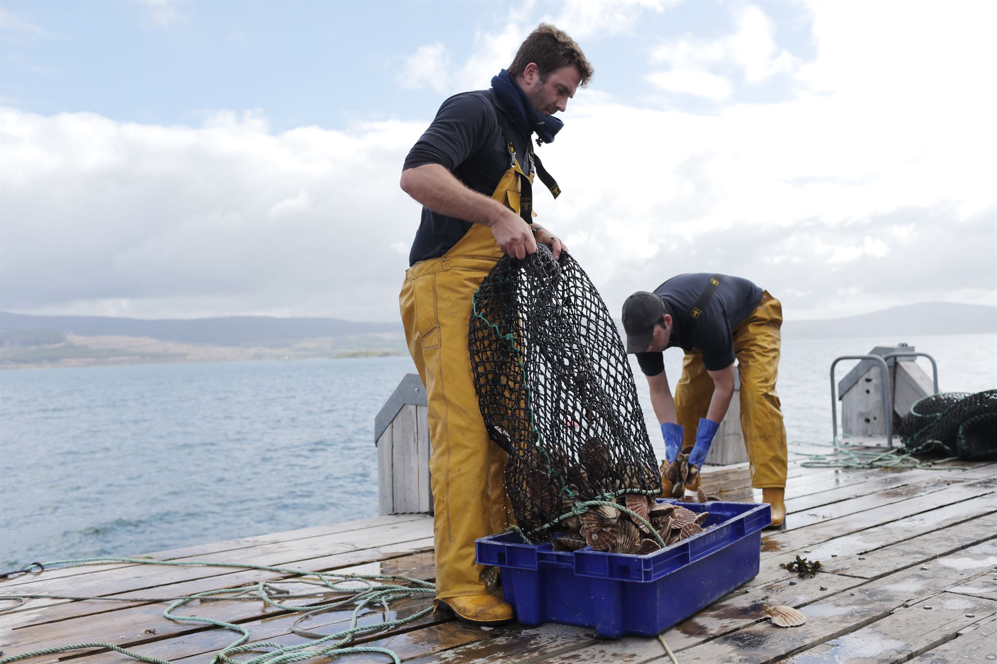 Ocean conservation volunteers