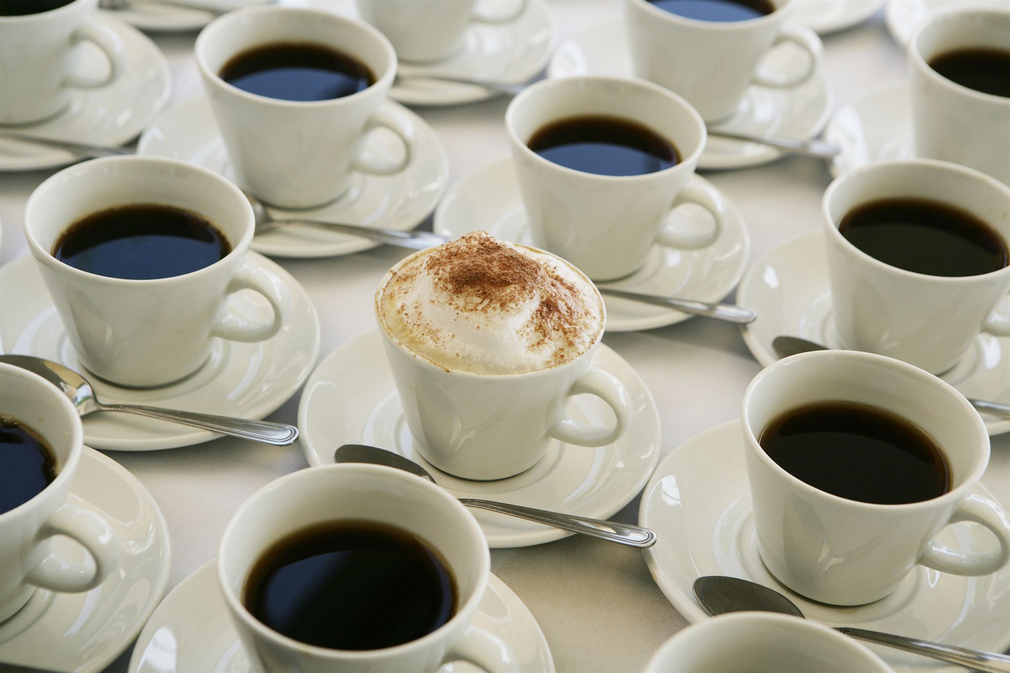 Coffee tasting event
