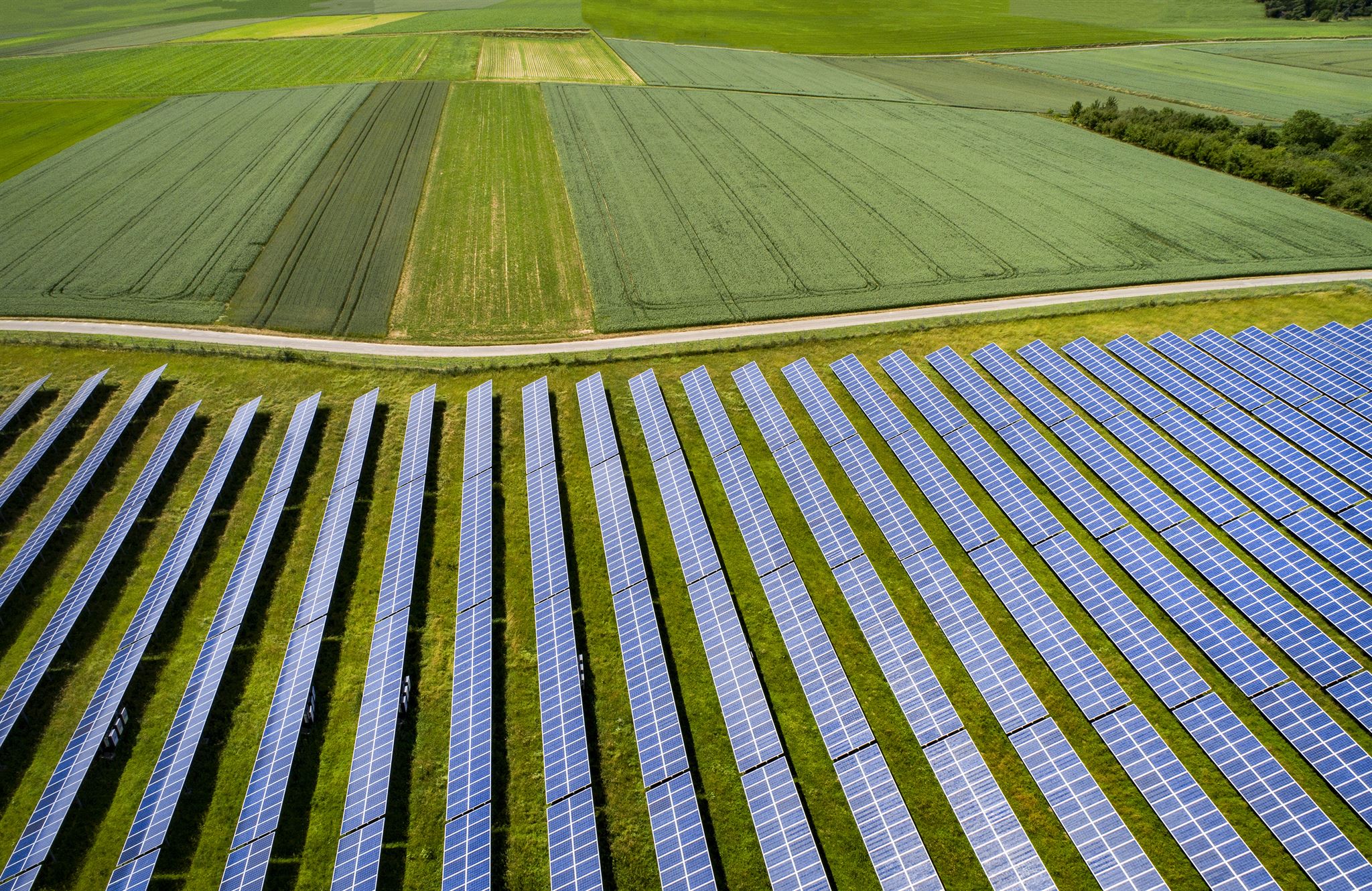 Solar panels in field