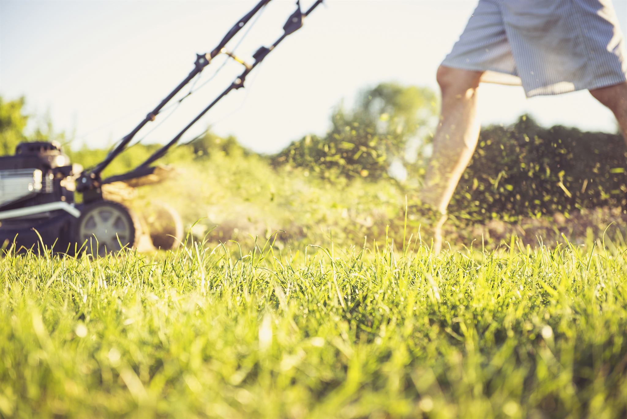 Trimmer für präzise Rasenkanten