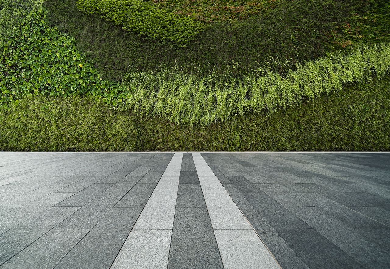 Commercial Landscaping