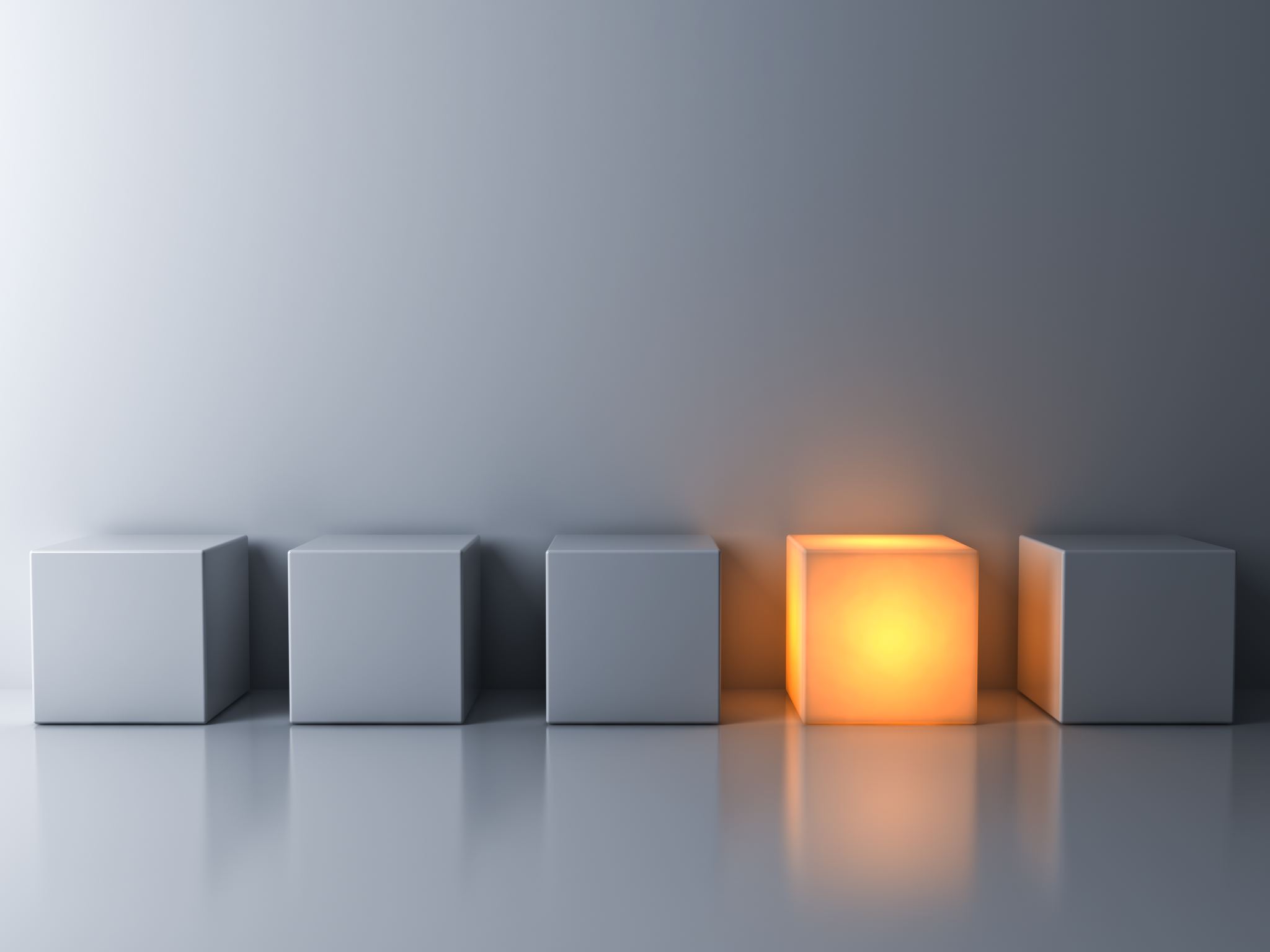 成功案例展示