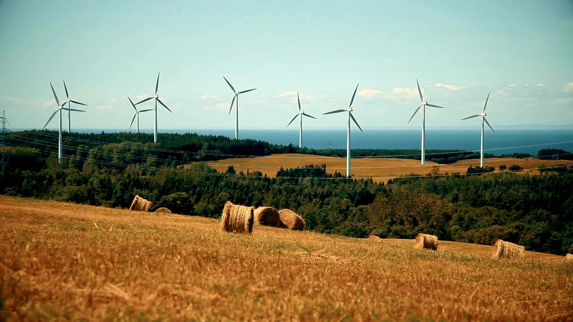 Parque eólico com turbinas modernas