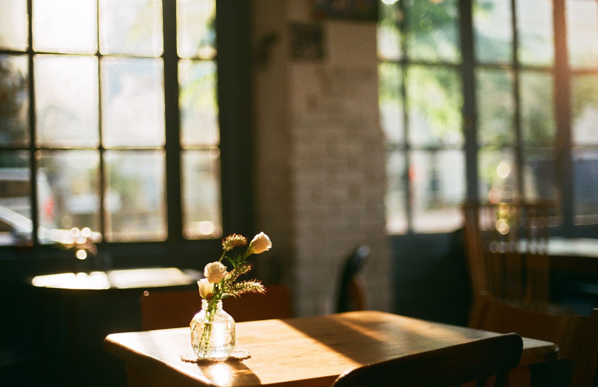 Cozy industrial loft cafe corner with plants and warm lighting