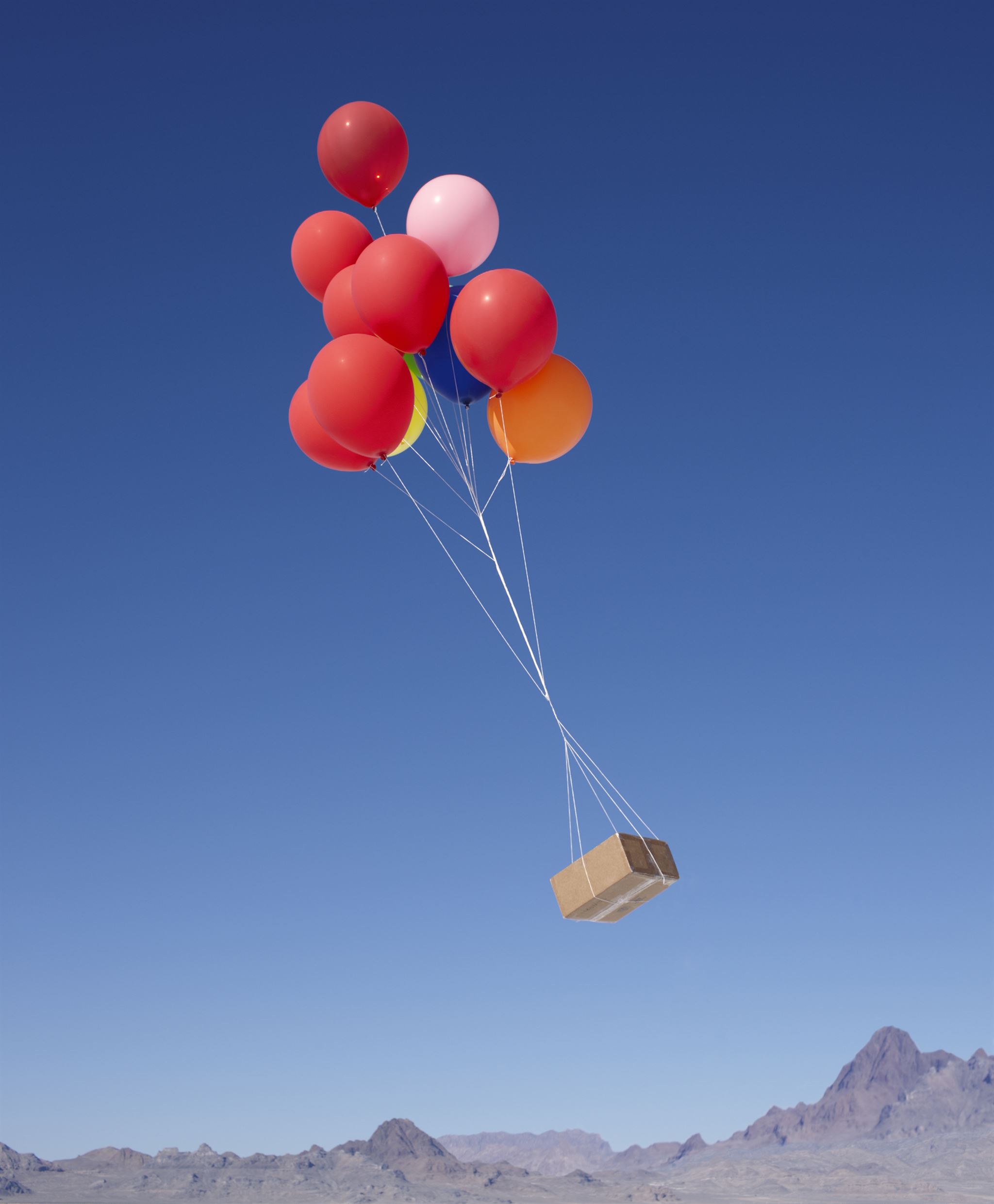 Customer using loyalty app