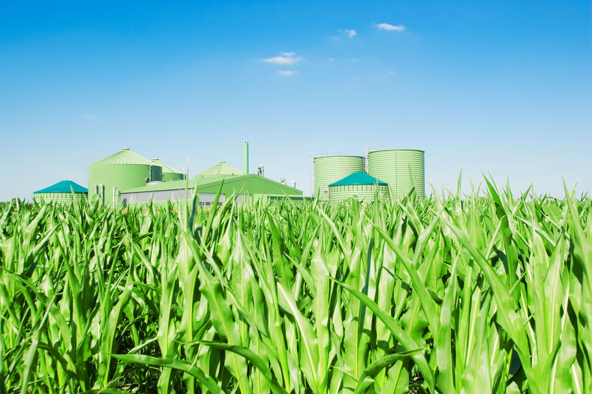 Green energy powered factory