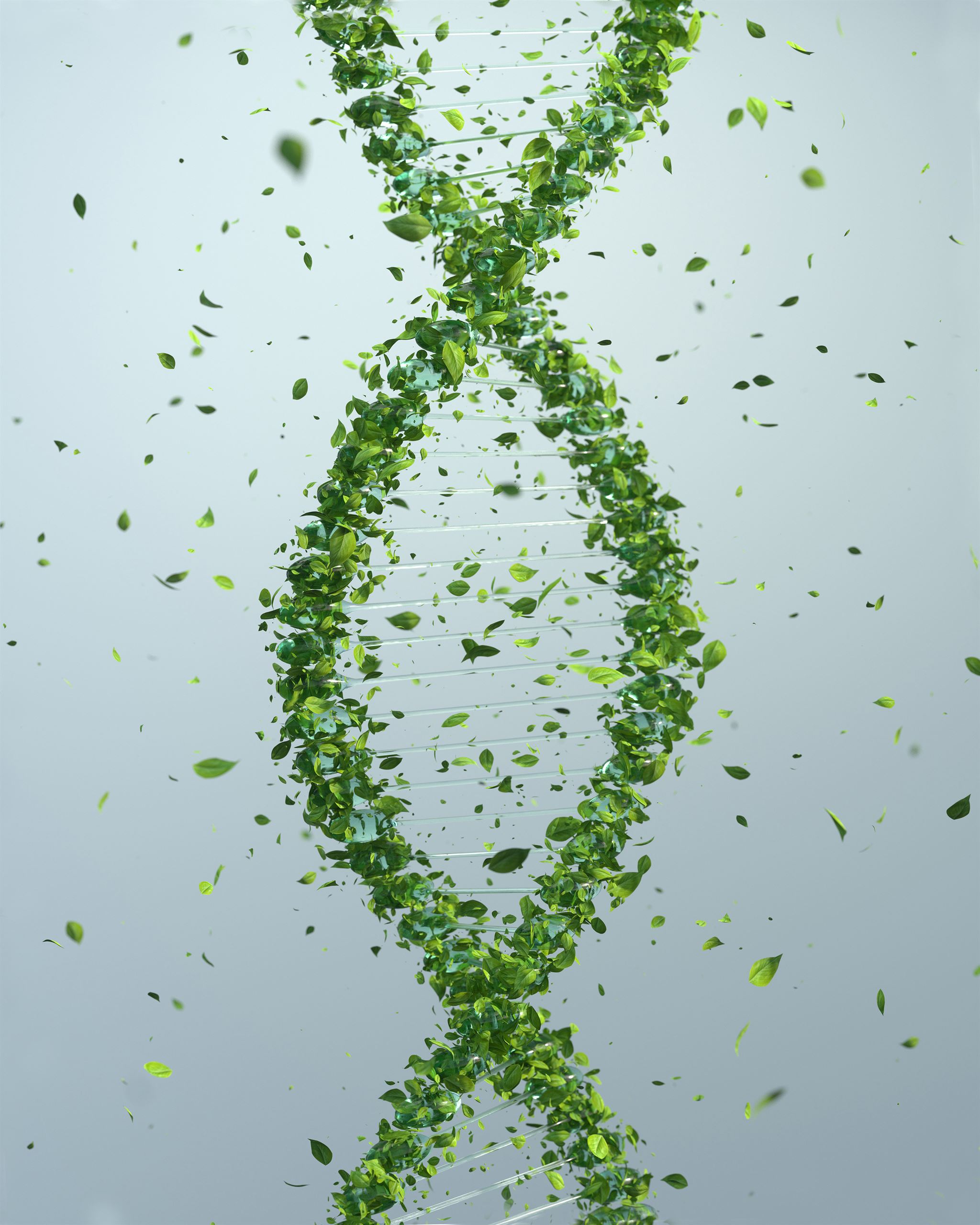 Dynamics 365 logo in green