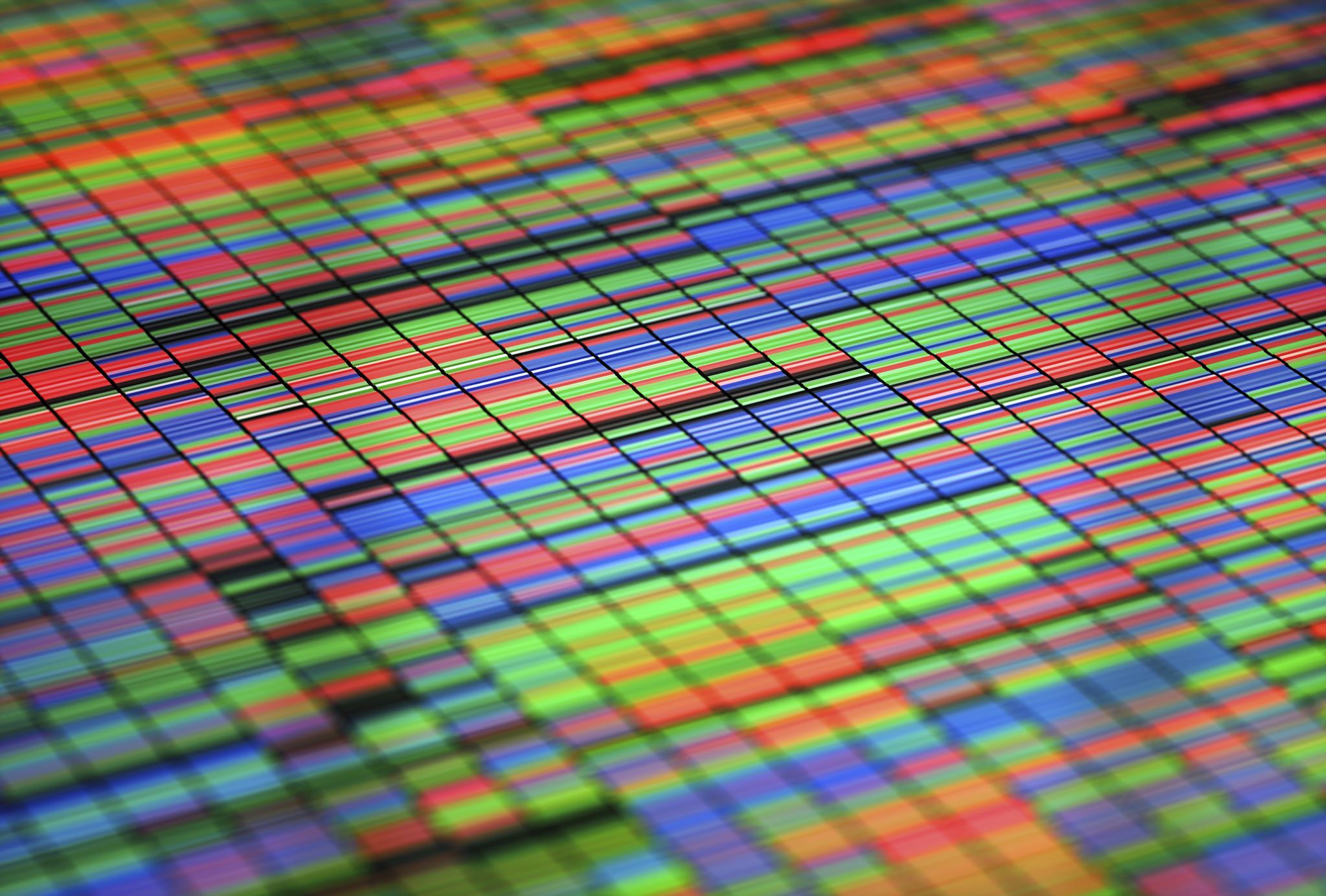 Bar chart representing university data trends
