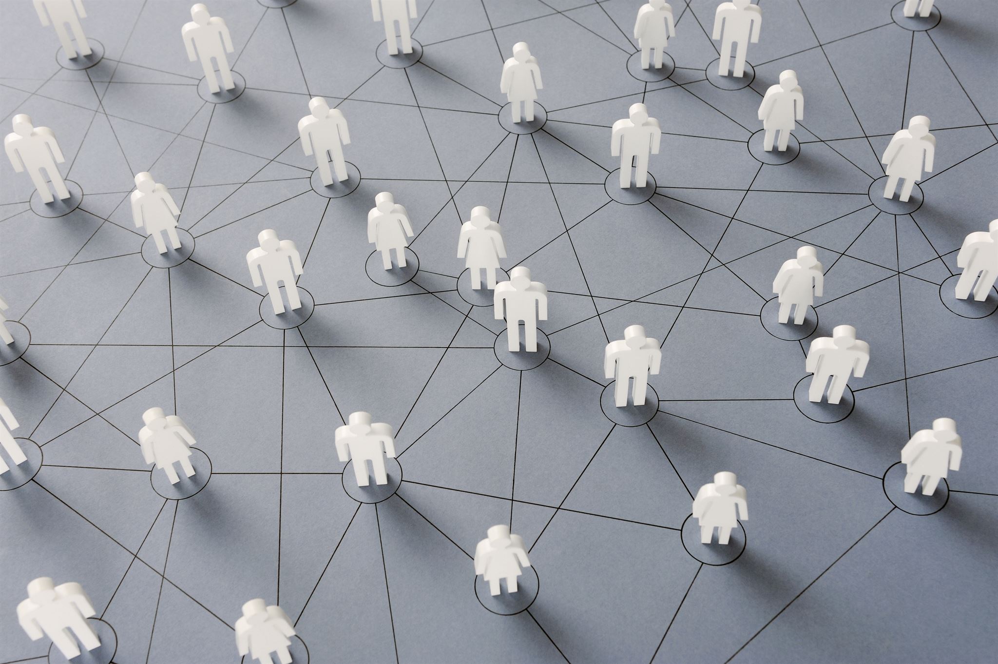 Team ensuring web security