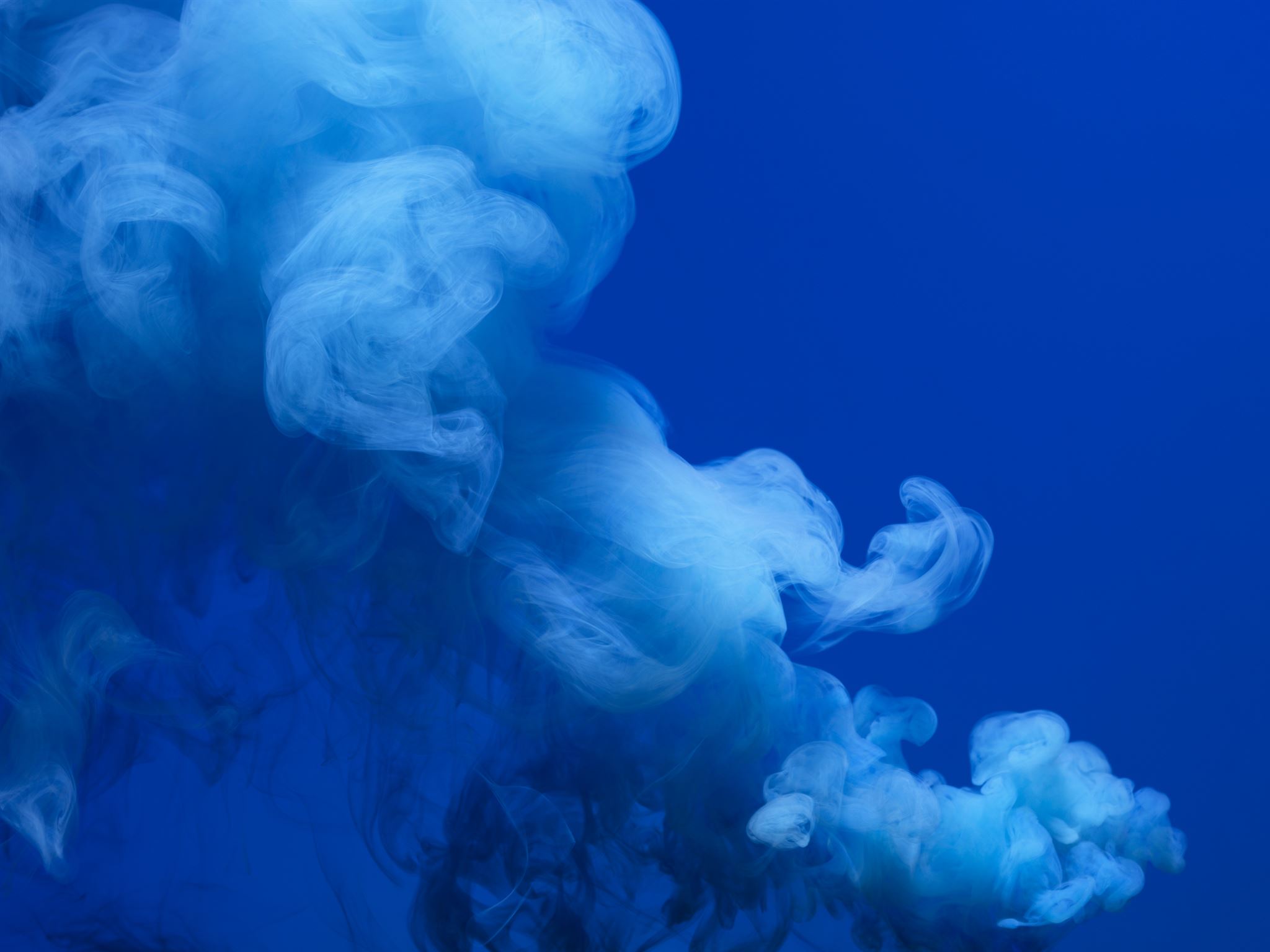 MS DSP DEMO company logo