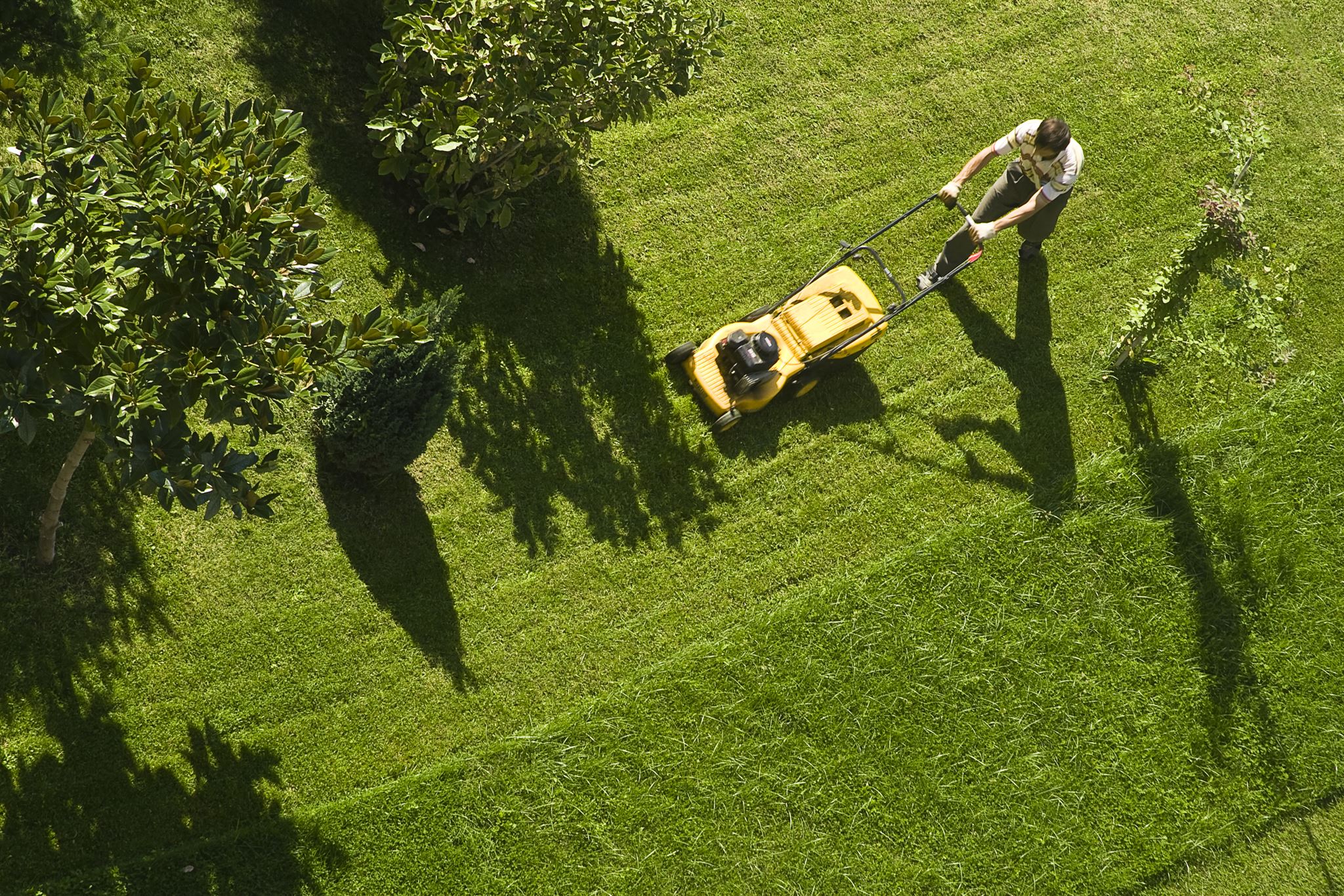 Trimmer für präzise Gartenarbeit
