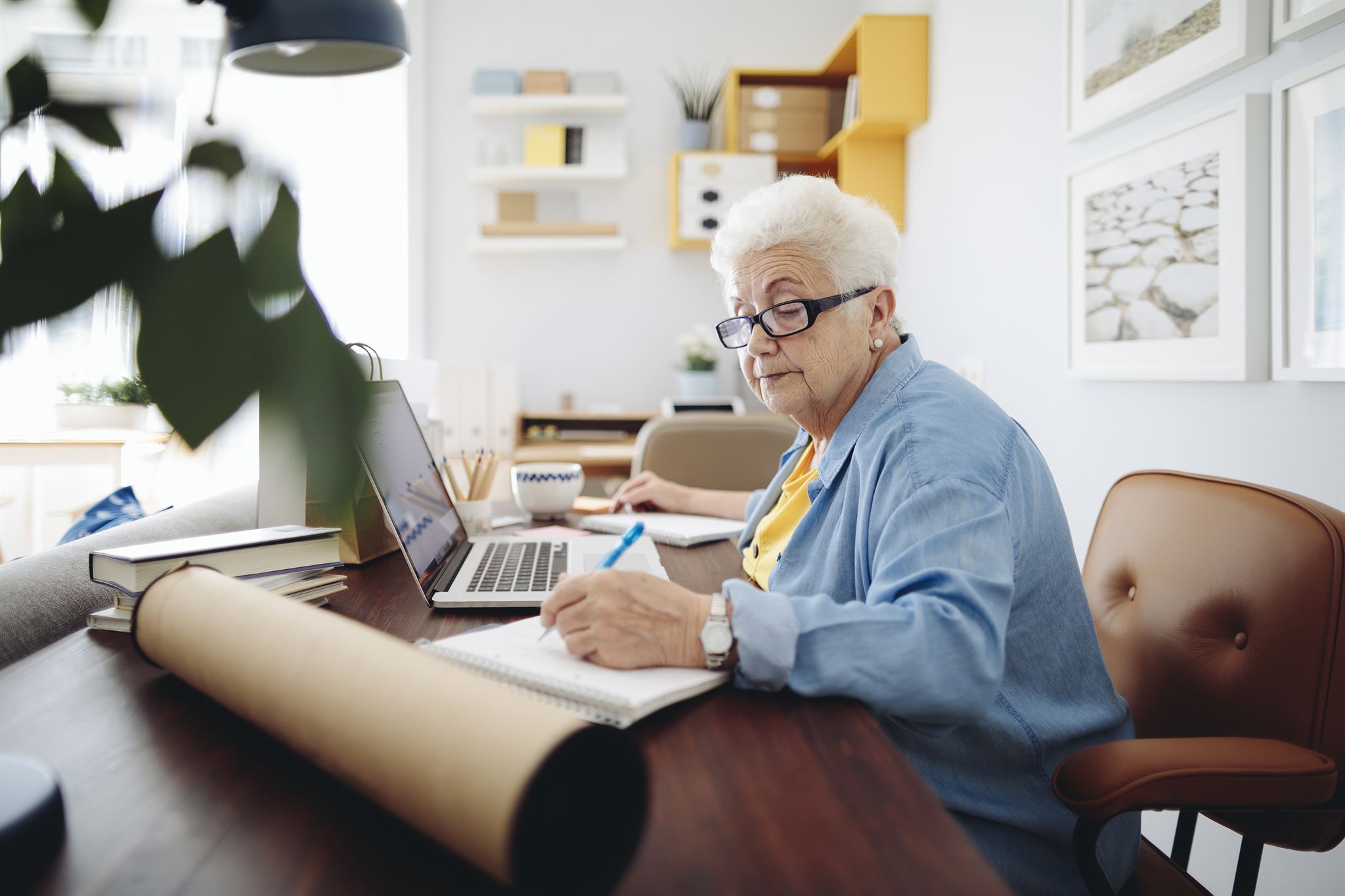 Experienced professional working