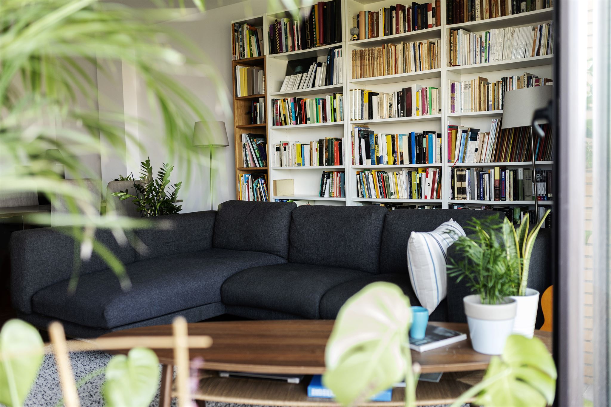 Cozy living room with furniture