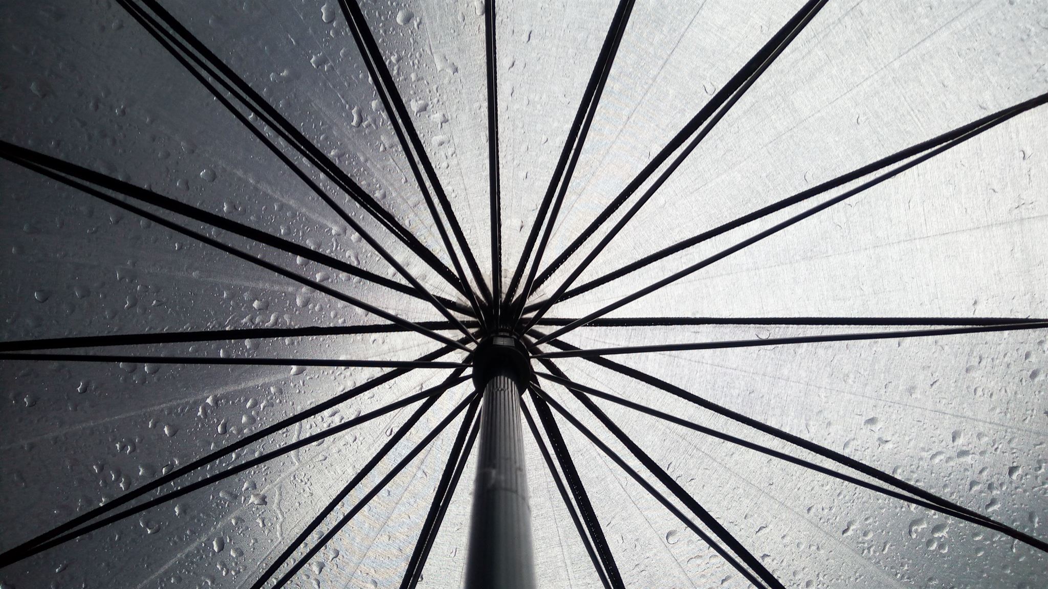 Updating information