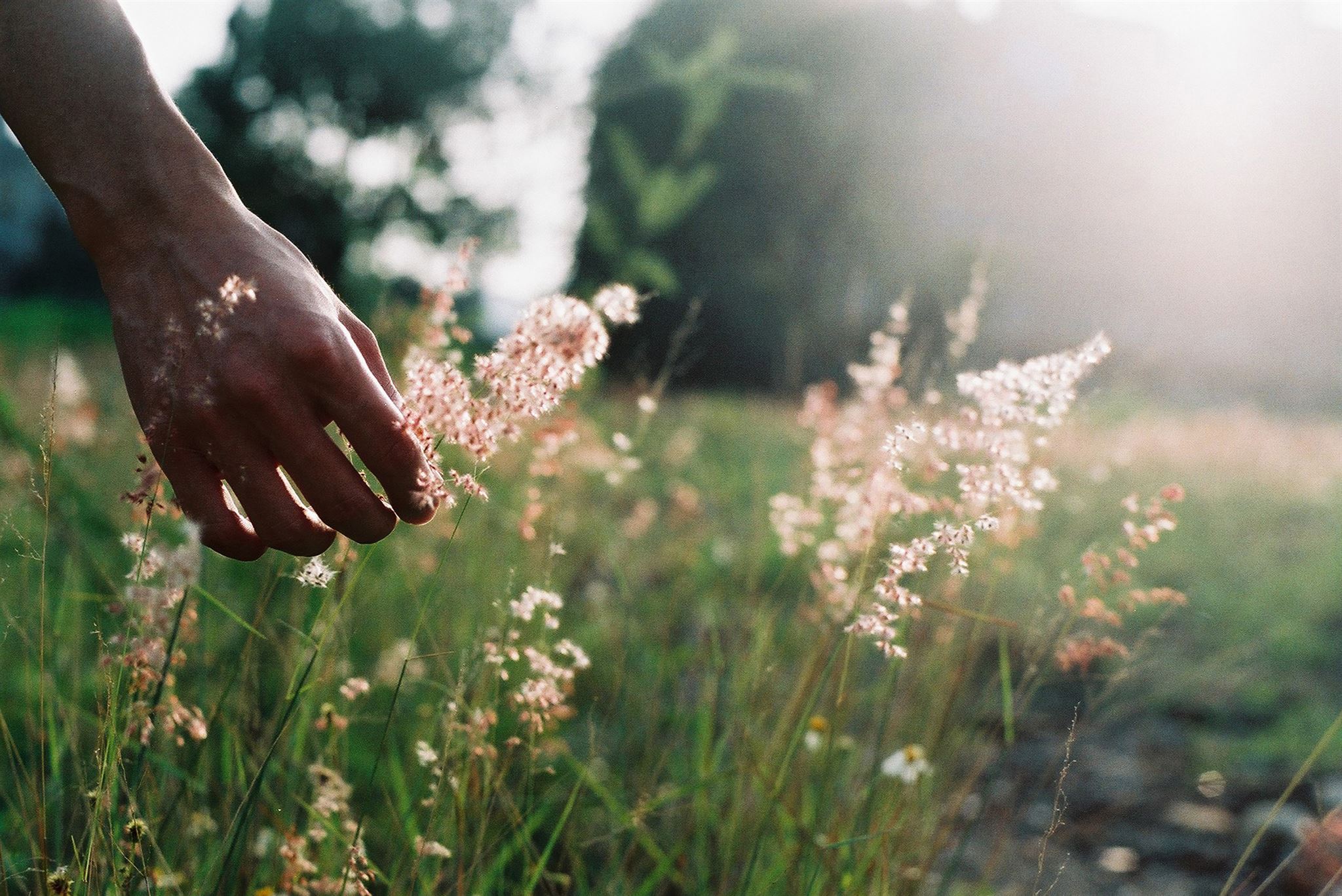 Person meditating in nature